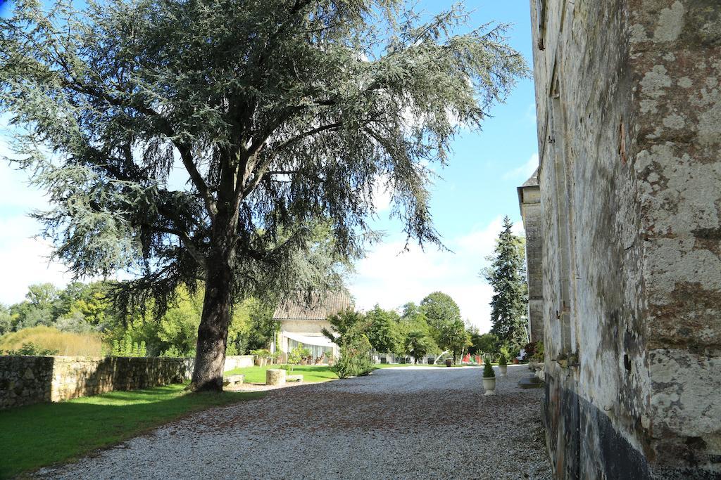 Chateau De Courtebotte Saint-Jean-de-Blaignac Ngoại thất bức ảnh